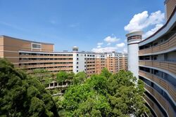 Blk 153 Pasir Ris Street 13 (Pasir Ris), HDB Executive #547794881